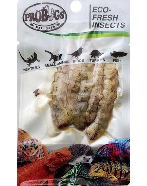 ProBugs ProBugs Eco-Fresh Silkworms Single Package