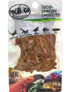 ProBugs ProBugs Eco-Fresh Mealworms  Single Package