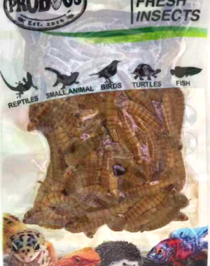 ProBugs ProBugs Eco-Fresh Mealworms  Single Package
