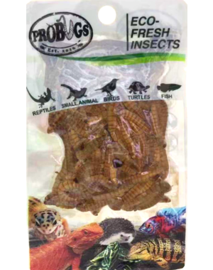 ProBugs ProBugs Eco-Fresh Mealworms  Single Package