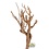 Newcal Pet NewCal Curry Tree Branch 12-19"