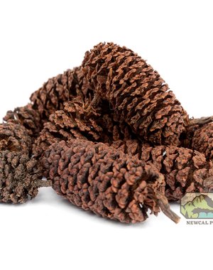 Newcal Pet NewCal Alder Cones 1 oz