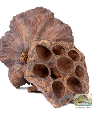 Newcal Pet NewCal Lotus Pods (3 Pack)