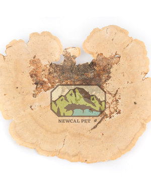 Newcal Pet NewCal Sponge Mushrooms (2-Pack)