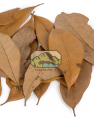 Newcal Pet NewCal Live Oak Leaves
