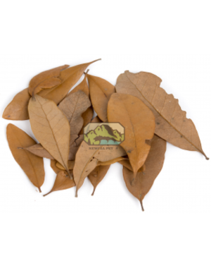 Newcal Pet NewCal Live Oak Leaves