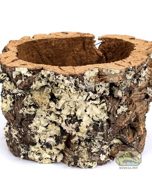 Newcal Pet Cork Bark Flower Pot/Reptile Nesting Box