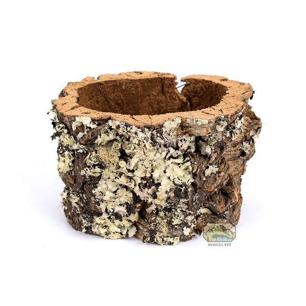 Newcal Pet Cork Bark Flower Pot/Reptile Nesting Box