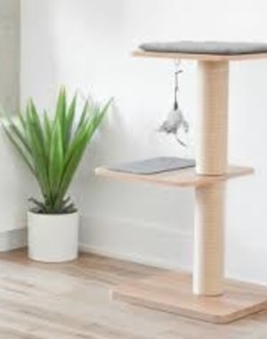 Be One Breed Be One Breed Katt3 Evo Cat