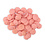 Living World Living World Small Animal Drops - Raspberry Flavour - 75 g (2.6 oz)