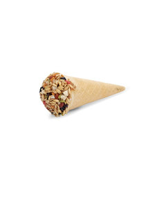 Living World Living World Cones Fruit Flavour-Single Piece