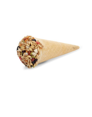 Living World Living World Cones Fruit Flavour-Single Piece