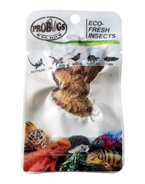 ProBugs ProBugs Eco-Fresh Dubia Cockroach Single Package