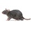Frozen Feeder Rats