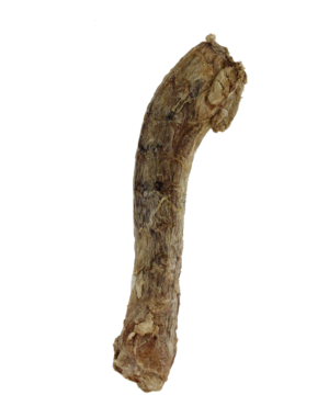 Vital Essentials VE Raw Bar Freeze Dried Duck Neck