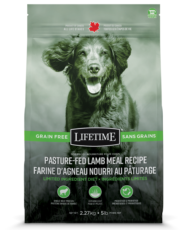Grain free lamb dry dog food sales