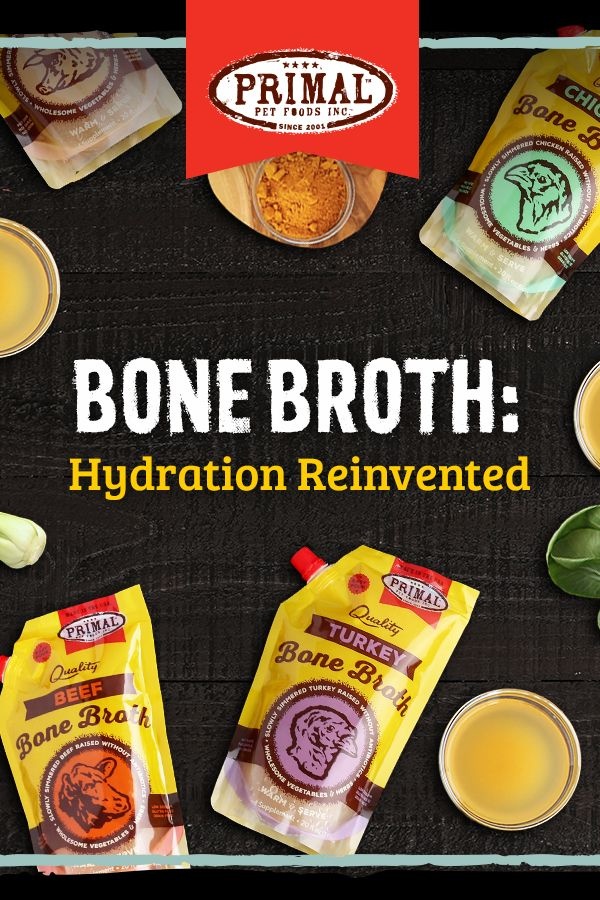 primal turkey bone broth
