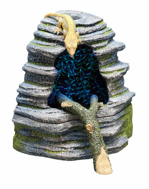 Zilla Zilla Spring Cave