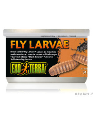 Exo Terra Exo Terra Canned Black Soldier Fly Larvae 1.2 oz