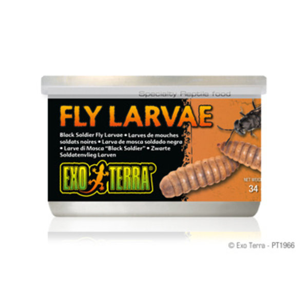 Exo Terra Exo Terra Canned Black Soldier Fly Larvae 1.2 oz