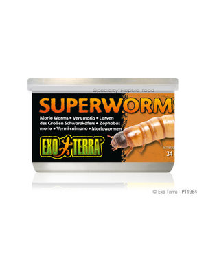 Exo Terra Exo Terra Canned SuperWorms 1.2 oz