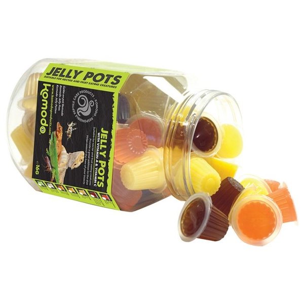 Komodo Products Komodo Jelly Pots Fruit Mix single