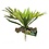 Zoo Med Laboratories Zoo Med Naturalistic Flora Staghorn Fern