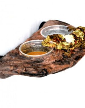 MagNaturals Magnaturals Gecko Ledge