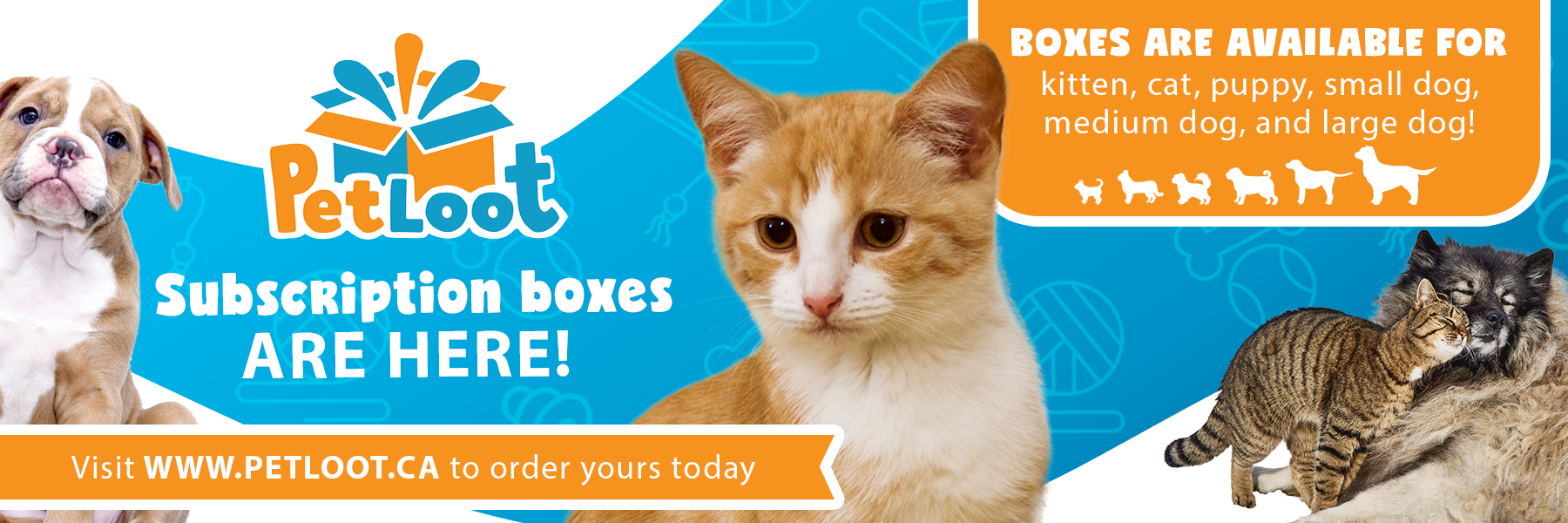 Pets, Food & Accessories Pet Paradise London, ON, CA North London