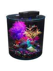 Aquarium Kits - Pet Paradise