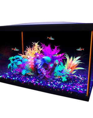Marina Marina iGlo 10Gal Aquarium Kit