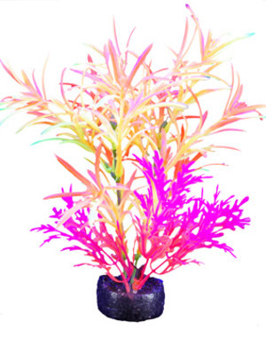 Marina Marina iGlo Plant - 14 cm (5.5 in)