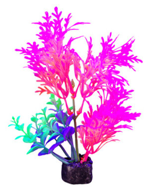 Marina Marina iGlo Plant - 14 cm (5.5 in)