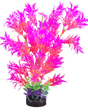 Marina Marina iGlo Plant - 32 cm (12.5 in)