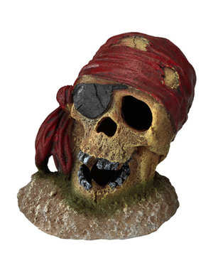 Aqua Della Aqua Della - Pirate Skull with Eye Patch