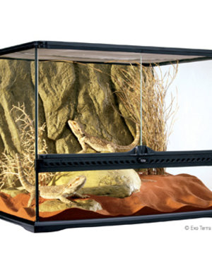 Exo Terra Exo Terra Glass Terrarium Medium 24"x18"x18"