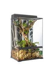 Large glass sales terrarium for reptiles