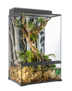 Exo Terra Exo Terra Glass Terrarium Medium 24"x18"x36"
