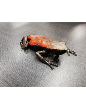  Red Rubber Frog