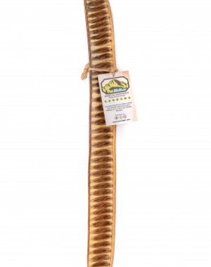 Newcal Pet NewCal Step Fruit 12"+