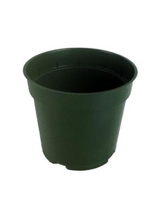  Standard Green Plastic Pot