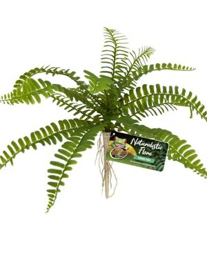 Zoo Med Laboratories Zoo Med Naturalistic Flora Sword Fern