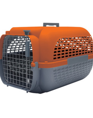 Dog It Dog It Voyager Orange