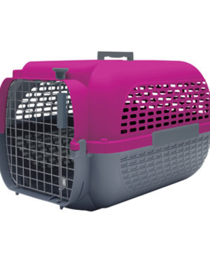 Dog It Dog It Voyager Fuchsia