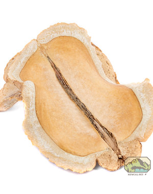 Newcal Pet NewCal Frog's Mouth (3-Pack)