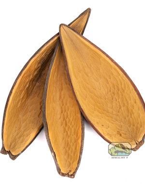 Newcal Pet NewCal Canoinhas Pod (2-Pack)