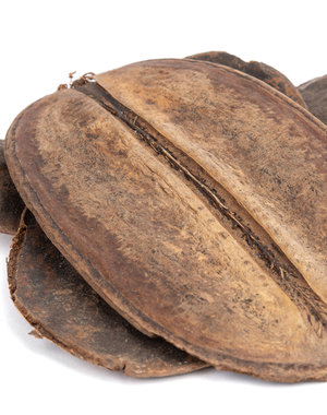 Newcal Pet NewCal Coco Para (2-Pack)