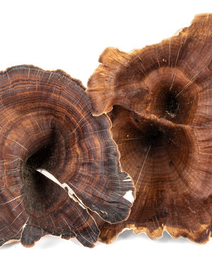 Newcal Pet NewCal Golden Mushrooms (4-Pack)