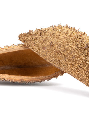 Newcal Pet NewCal Devil's Purse (2-Pack)