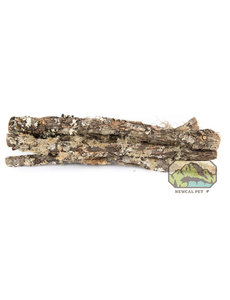 Newcal Pet NewCal Moss Covered Stick Natural